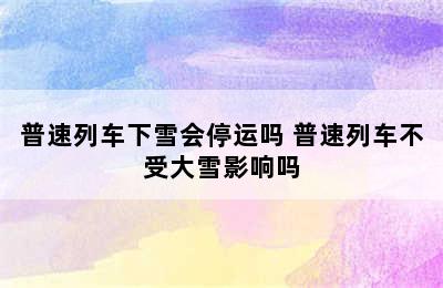普速列车下雪会停运吗 普速列车不受大雪影响吗